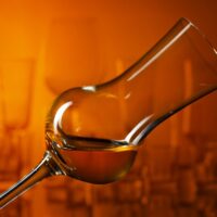 Glass of grappa on a dark background